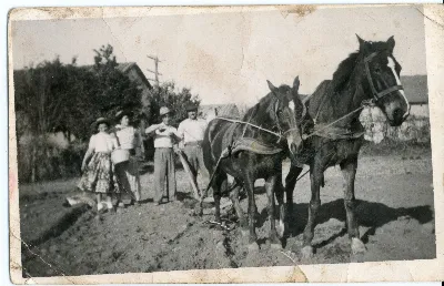 El Arado — Calle Larga — 1930 | Chile de Ayer