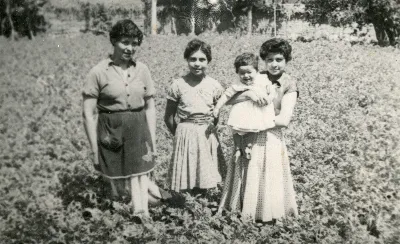 Mujeres jóvenes en huerto de Pocuro — Pocuro — aprox. 1960 | Chile de Ayer