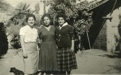 Pocuro