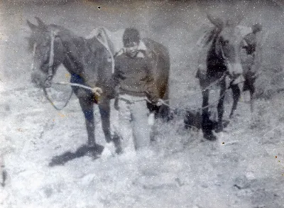 Calle Larga