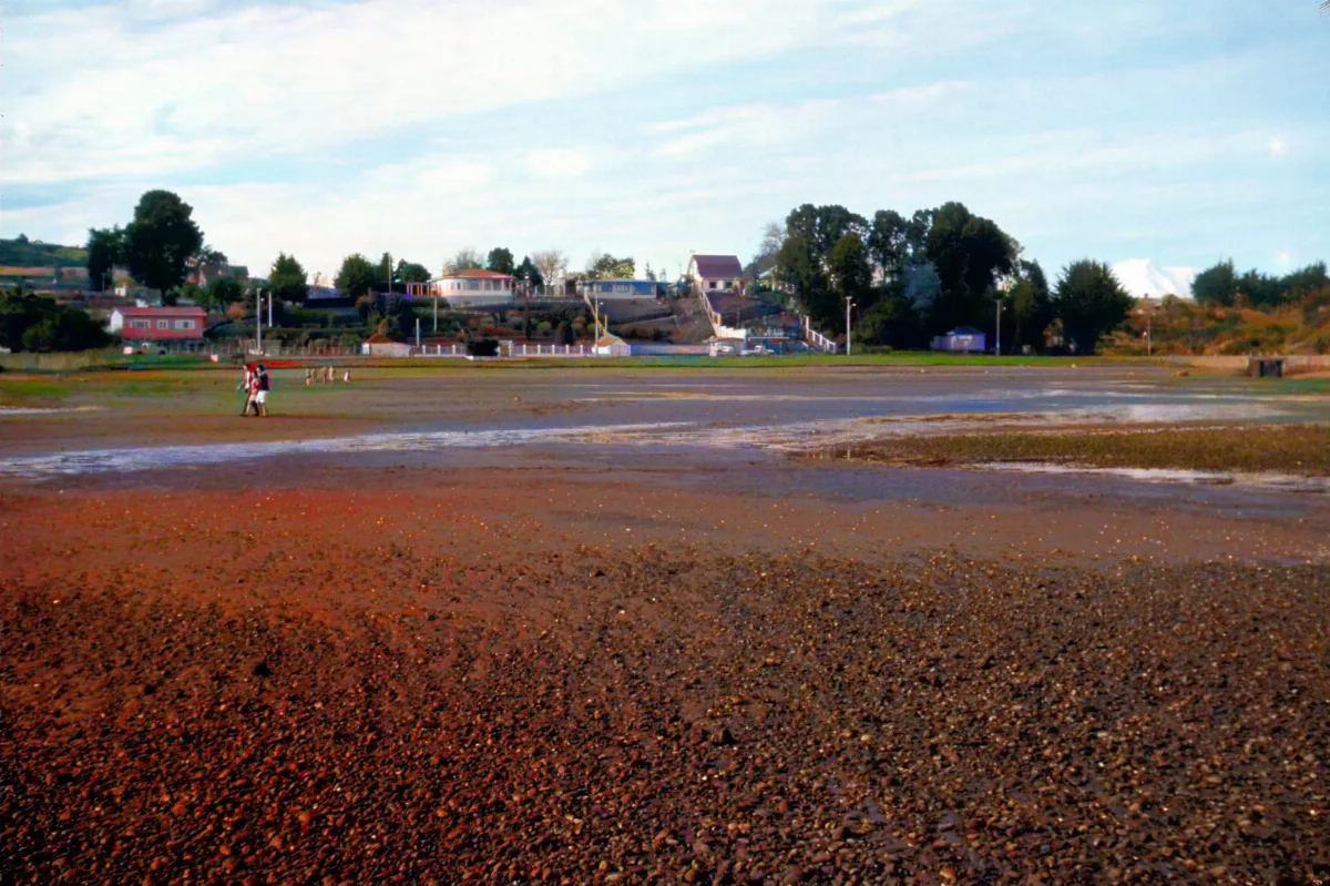 Playa de Pelluco, Puerto Montt, 1970 — Playa Pelluco — 1970 | Chile de Ayer