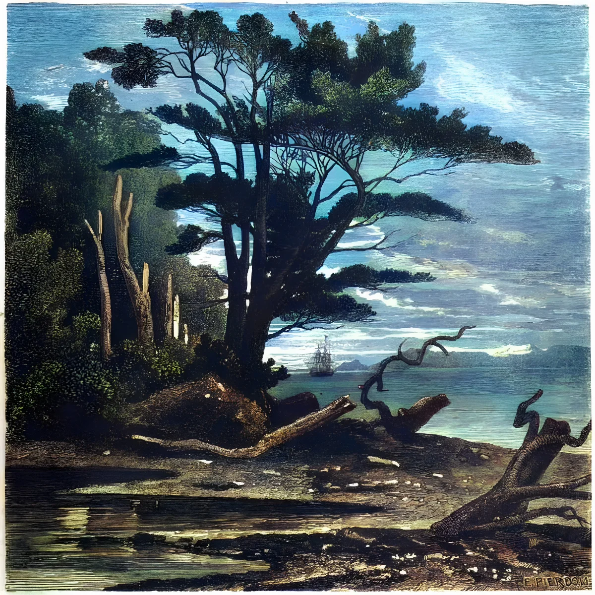 Vista de Puerto del Hambre — aprox. 1861 | Chile de Ayer