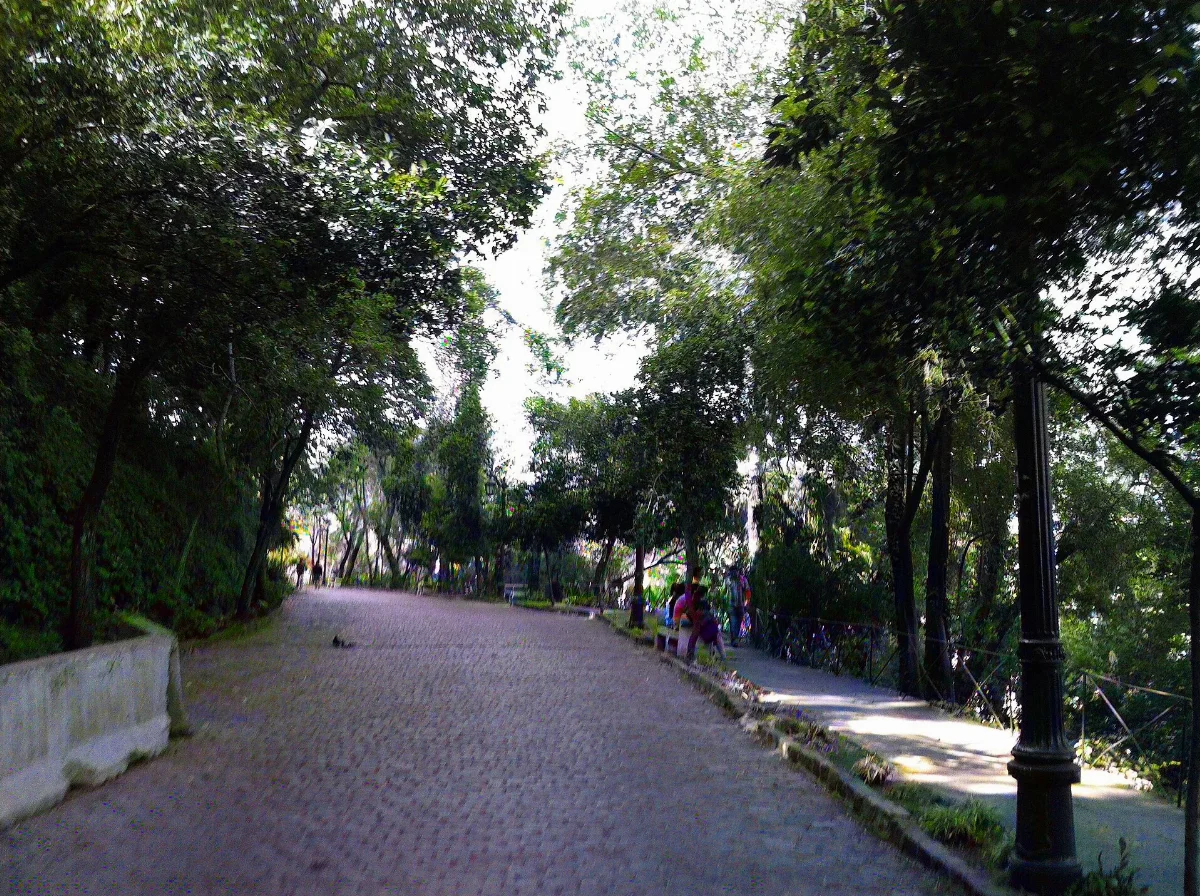 Sendero adoquinado entre árboles con contraluz en el Cerro Santa Lucía, Santiago — aprox. 1880–1930 | Chile de Ayer