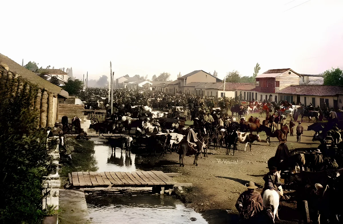 Feria agrícola en Chillán, 1906 — 1906 | Chile de Ayer