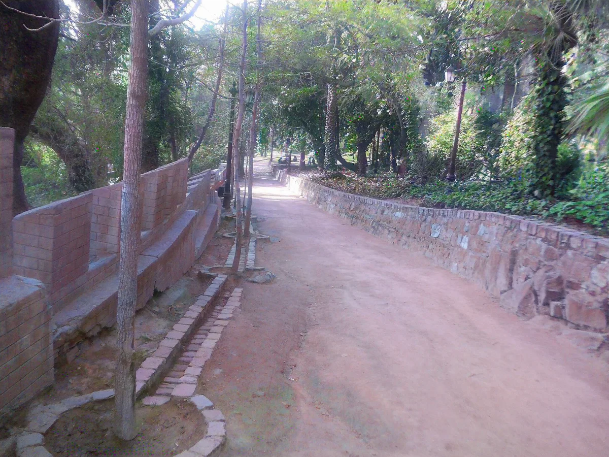 Sendero arbolado del Cerro Santa Lucía con muros laterales — aprox. 1880–1930 | Chile de Ayer