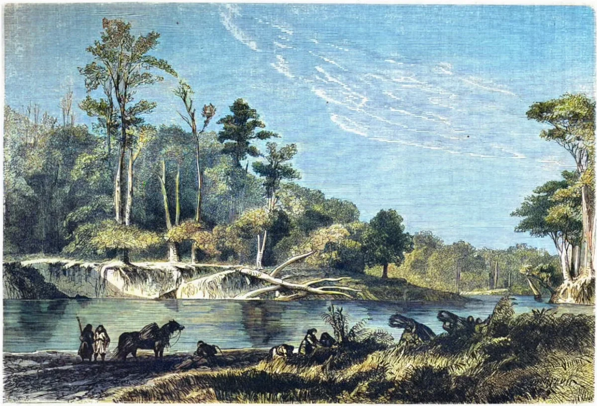 Bosque a orillas del río Sedger — aprox. 1861 | Chile de Ayer