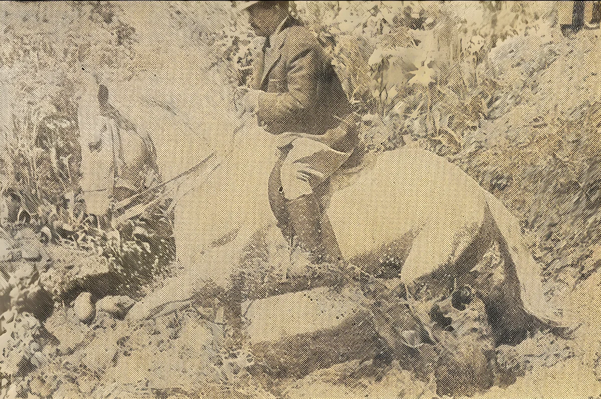 Pedro Aguirre Cerda a caballo — 1940 | Chile de Ayer