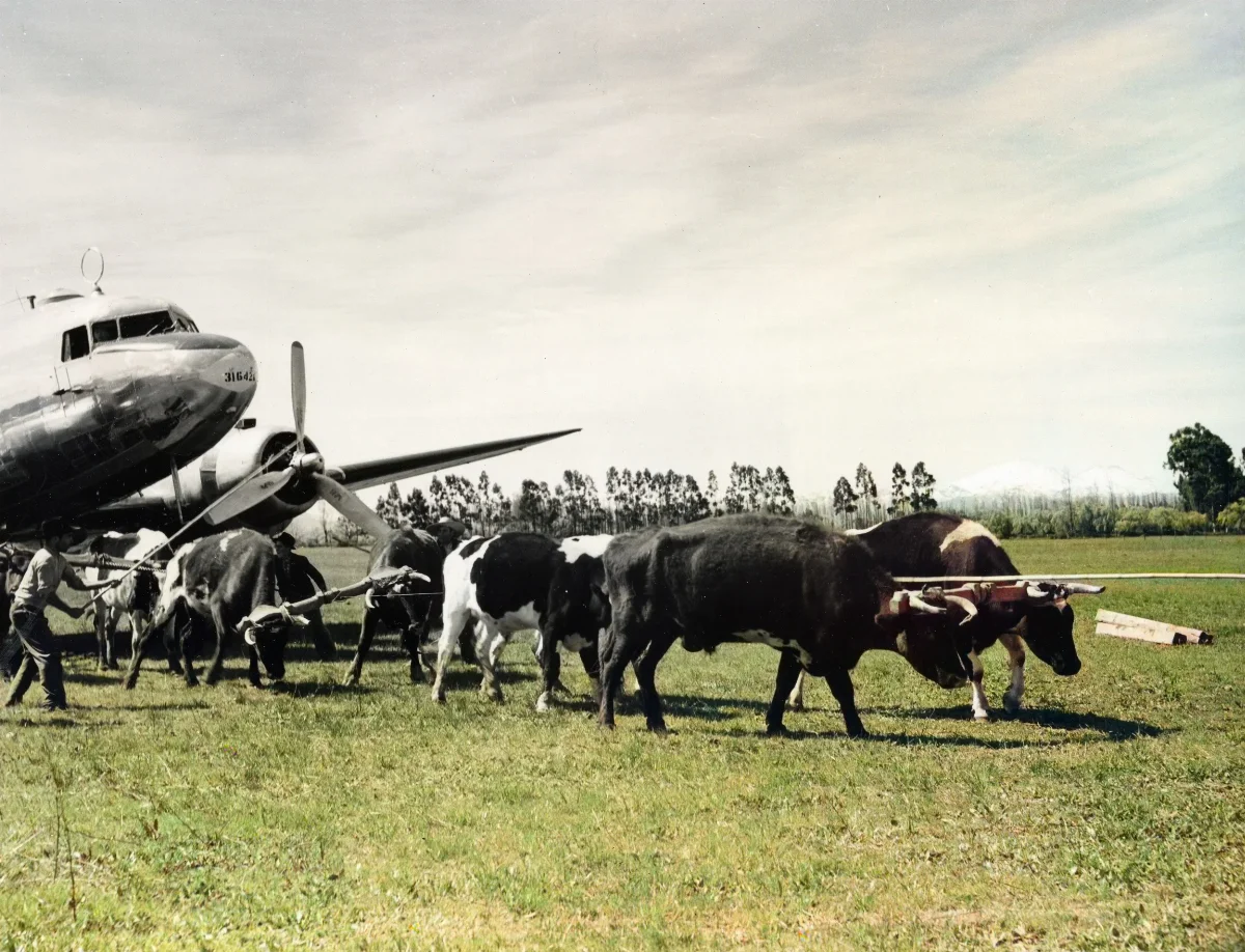 RG18-AG--3933 — 1944 | Chile de Ayer