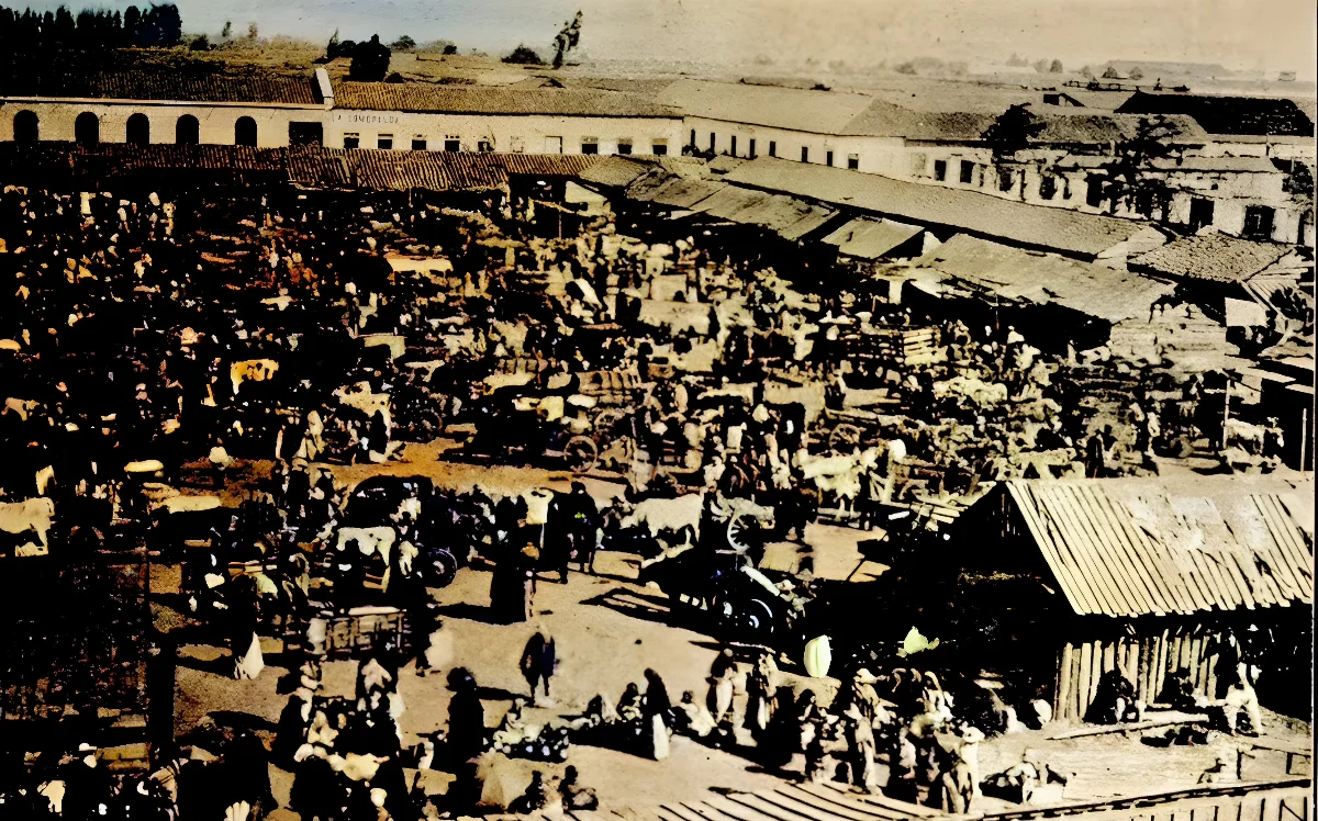 Feria Agricola de Chillán 1903 — 1903 | Chile de Ayer