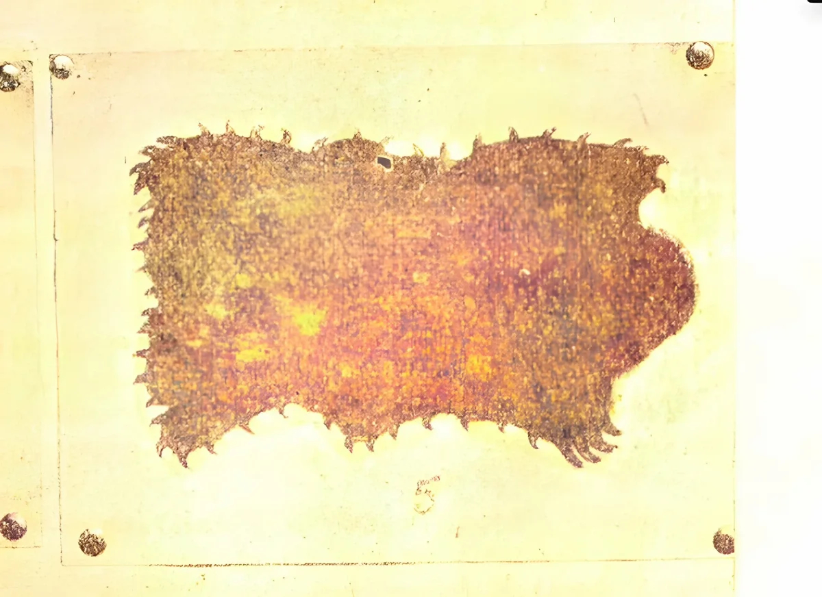 Guevara(1908)-Psicolojía-p323-Fig42.5-Trelquehuecufe — Temuco — 1908 | Chile de Ayer