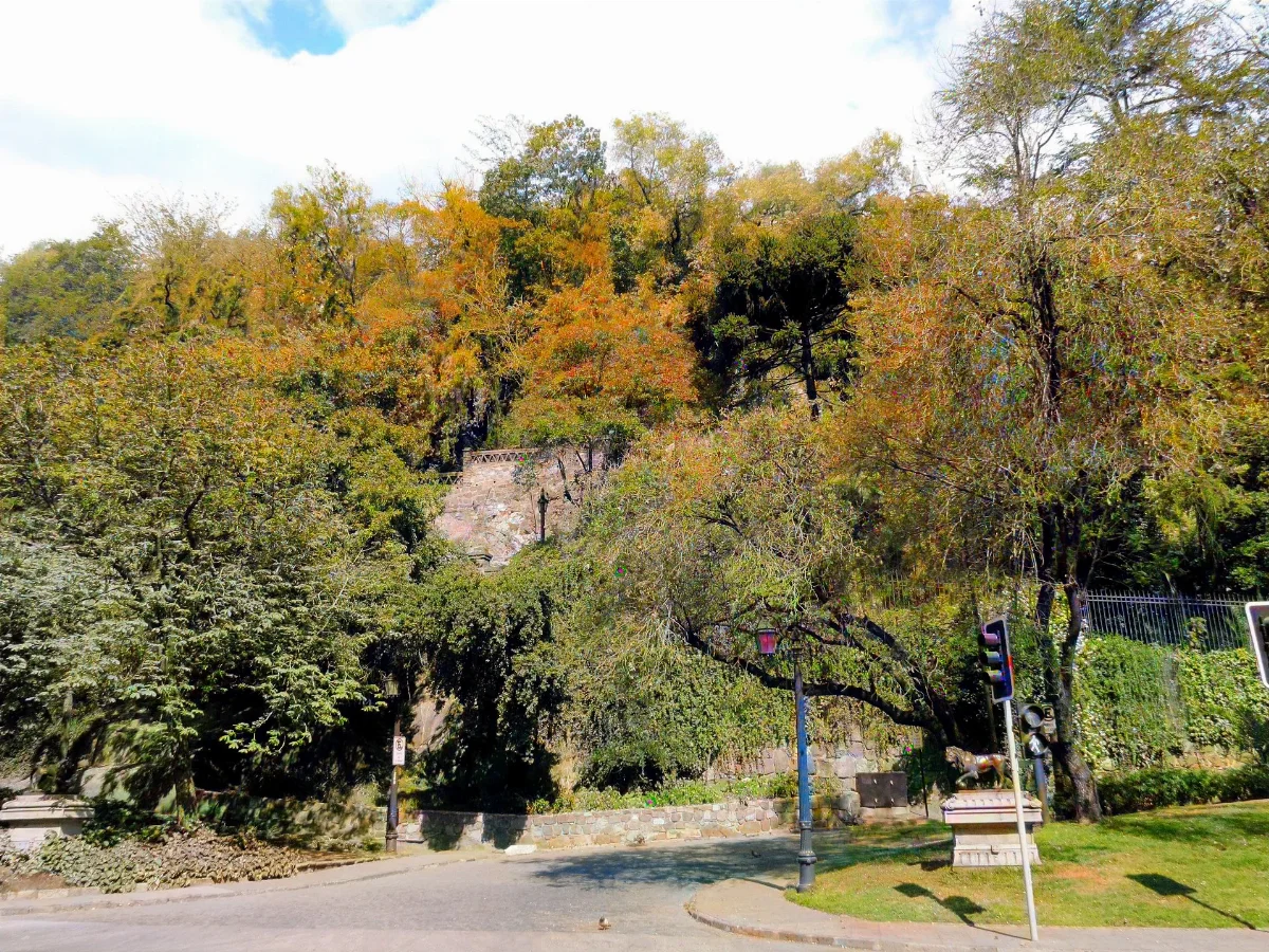 Cerro Santa Lucía con jacarandás en flor — aprox. 1880–1930 | Chile de Ayer