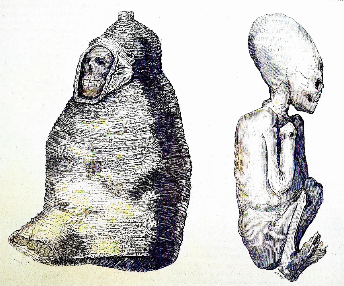Historia de la conquista del Perú, 1851 "Momias de los antiguos Aymaras". (3971677332) — 1851 | Chile de Ayer