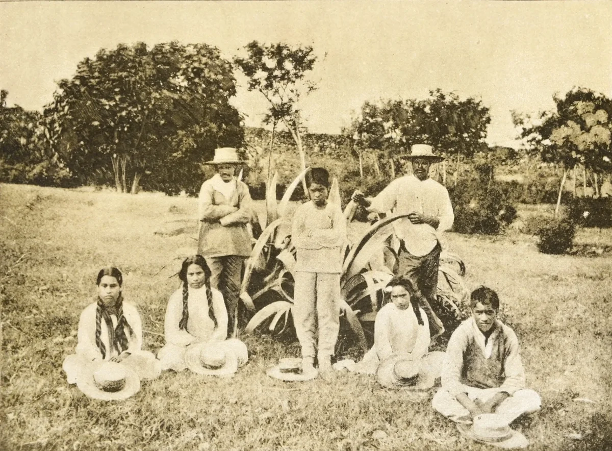 Group Of Natives In Employ Of Mr. Brander, Te Pito Te Henua, Or Easter Island by William J. Thomson, published 1891 — Isla de Pascua — 1891 | Chile de Ayer