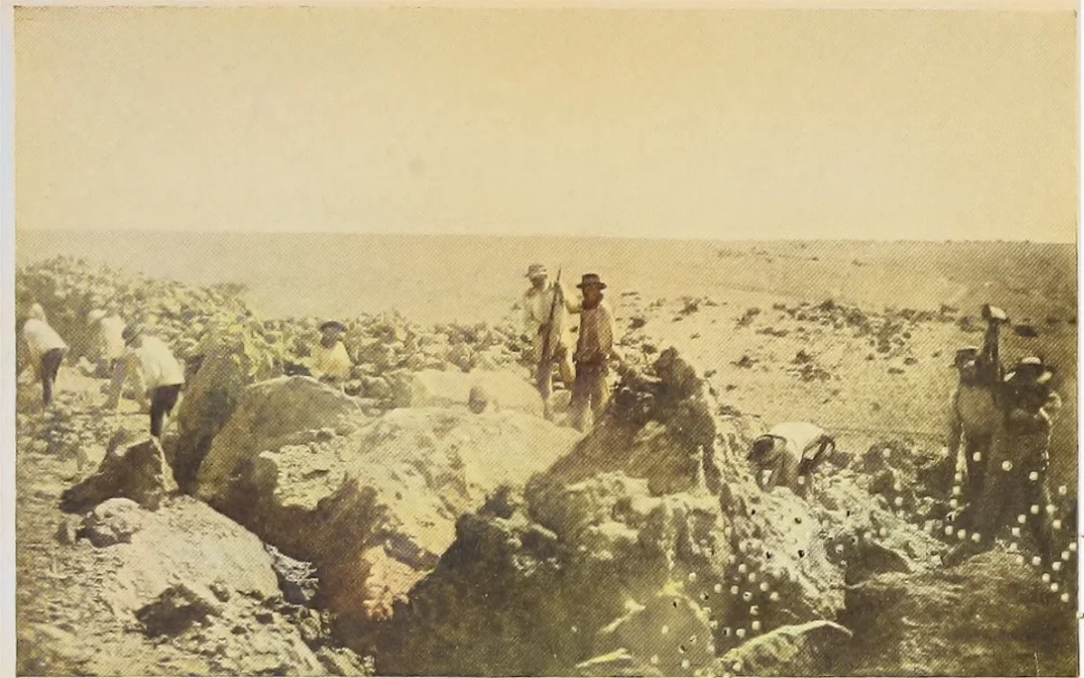 Image from page 190 of "Chile today and tomorrow" (1922) (14746588736) — Atacama — 1922 | Chile de Ayer